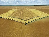 Foto: FAO: Brasil será o maior produtor agrícola do mundo 