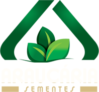 Sementes Araucária